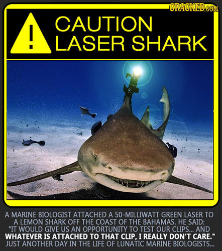 ORACKEDOOM CAUTION I! LASER SHARK A MARINE BIOLOGIST ATTACHED A 50-MILLIWATT GREEN LASER TO A LEMON SHARK OFF THE COAST OF THE BAHAMAS. HE SAID: IT W
