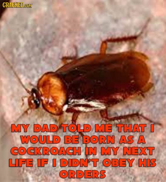 CRACKEDGON MY DAD TOLD ME THAT I WOULD BE BORN AS A COCKROACH IN MY NEXT LIFE IF I DIDN'T OBEY HIS ORDERS 