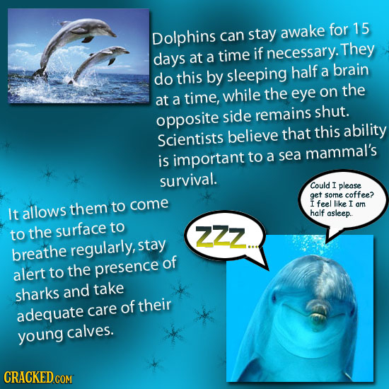 for 15 Dolphins can stay awake They days time if at a necessary. do this by sleeping half a brain the on the while at a time, eye opposite side remain