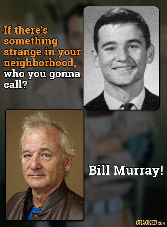 If there's something strange in your neighborhood, who you gonna call? Bill Murray!