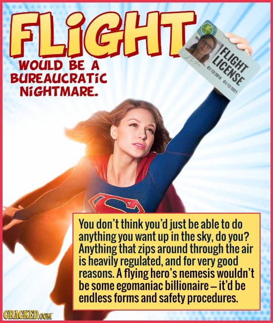 FLIGHT FLIGHT LICENSE WOULD BE A 01/12/2016 01/12/209 BUREAUCRATIC NiGHTMARE. You don't think you'd just be able to do anything you want up in the sky