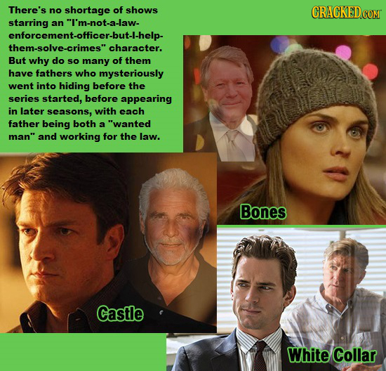 There's no shortage of shows starring an I'm-not-a-law- enforcement-officer-but-I-help- them-solve-crimes character. But why do so many of them have