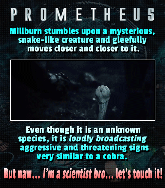 20 Completely Irrational Reactions By Rational Characters