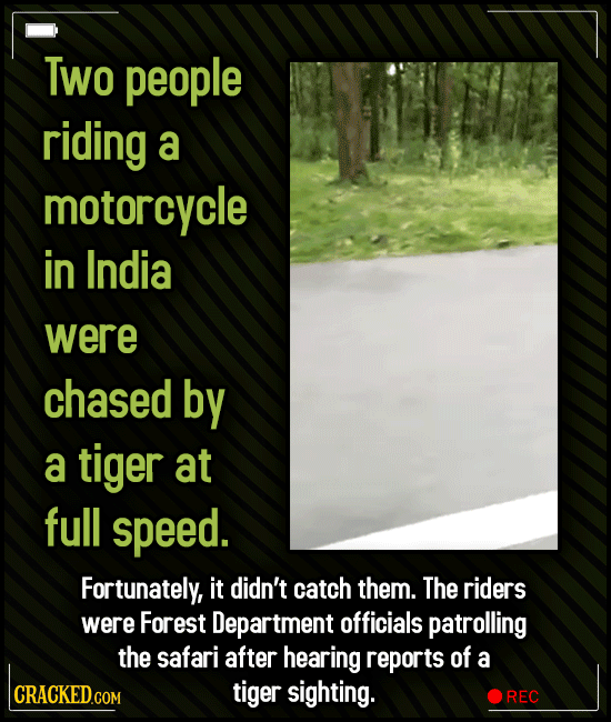 People Who Escaped Harm By Sheer Luck