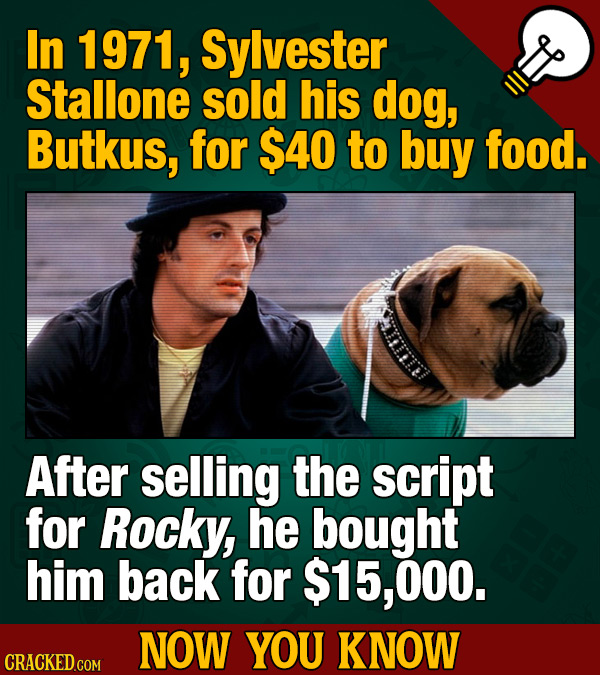 In 1971, Sylvester Stallone sold his dog, Butkus, for $40 to buy food. After selling the script for Rocky, he bought him back for $15,000. NOW YOU KNO