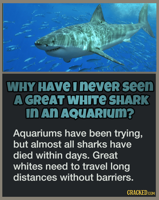 19 Answers To Questions You Never Thought To Ask