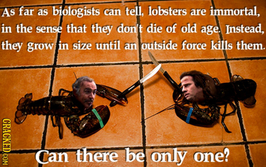 As far as biologists can tell, lobsters are immortal, in the sense that they don't die of old age. Instead, they grow in size until an outside force k