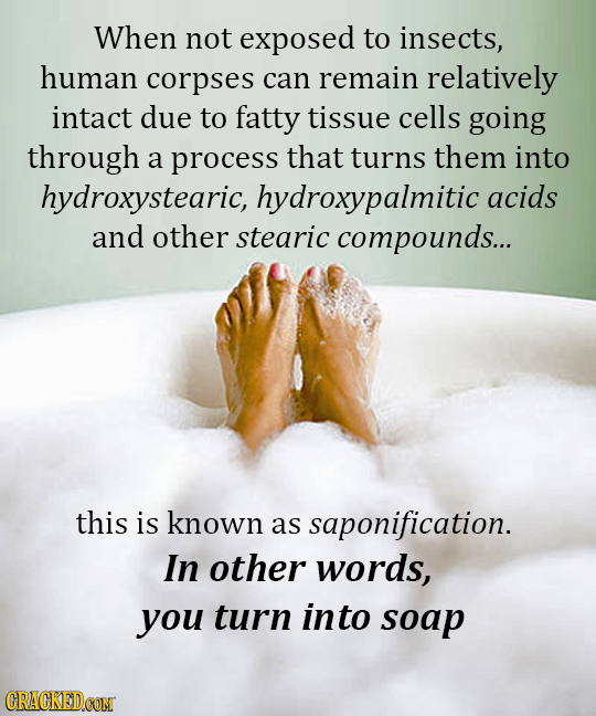 When not exposed to insects, human corpses can remain relatively intact due to fatty tissue cells going through a process that turns them into hydroxy