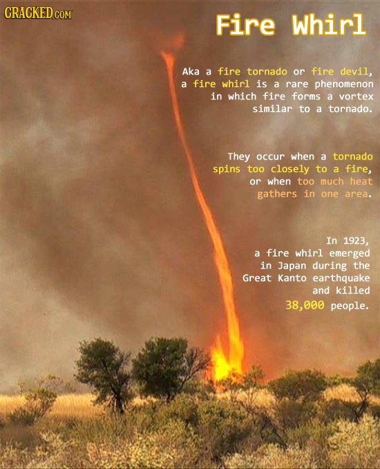 CRACKEDcO Fire Whirl Aka a fire tornado or fire devil, a fire whirl is a rare phenomenon in which fire forms a vortex similar to a tornado. They occur