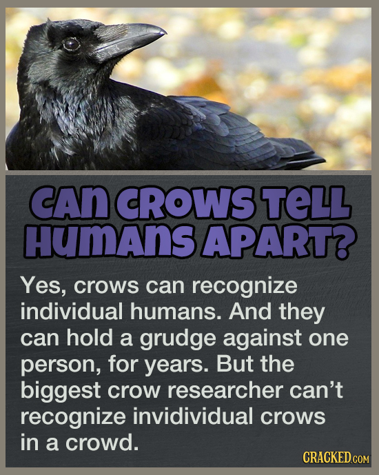 19 Answers To Questions You Never Thought To Ask