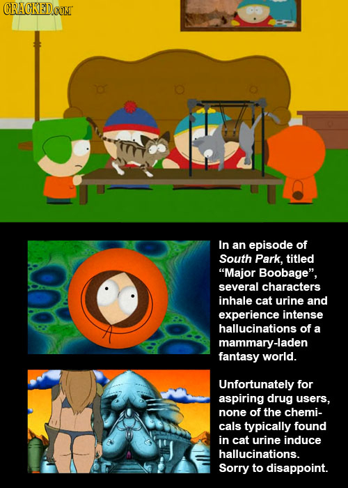CRACKEDCOMT In an episode of South Park, titled Major Boobage, several characters inhale cat urine and experience intense hallucinations of a mammar