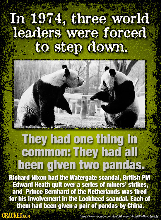 In 1974, three world leaders were forced to step down. They had one thing in common: They had all been given two pandas. Richard Nixon had the Waterga
