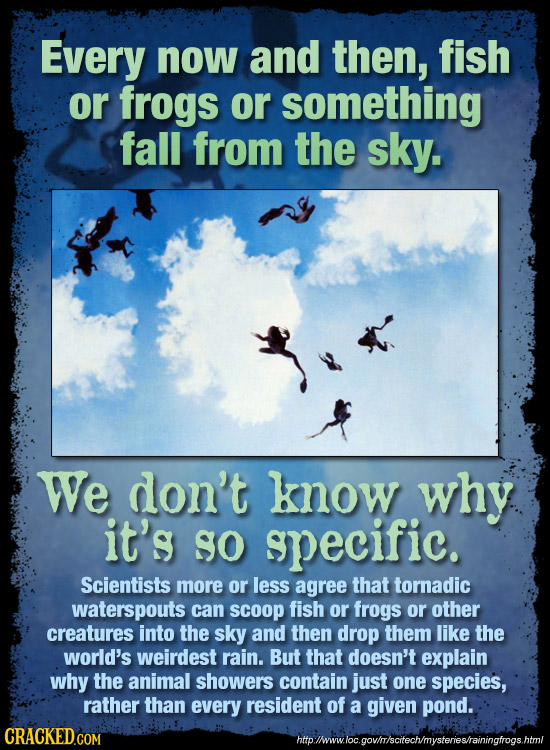 Every now and then, fish or frogs or something fall from the sky. We don't know why it's gO specific. Scientists more or less agree that tornadic wate