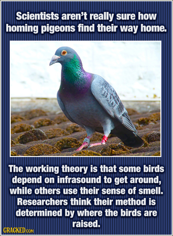 20 Everyday Things That Science Still Can't Explain