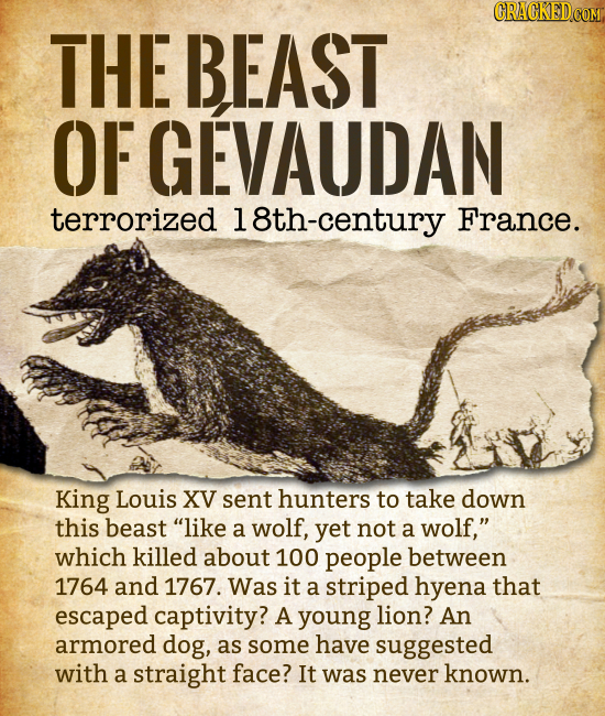 THE BEAST OF GEVAUDAN terrorized 18th-century France. King Louis XV sent hunters to take down this beast like a wolf, yet not a wolf, which killed a