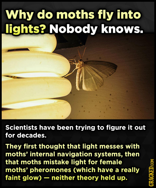 20 Everyday Things That Science Still Can't Explain