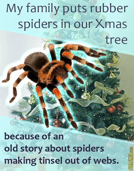My family puts rubber spiders in our Xmas tree because of an old story about spiders making tinsel out of webs. GRAU