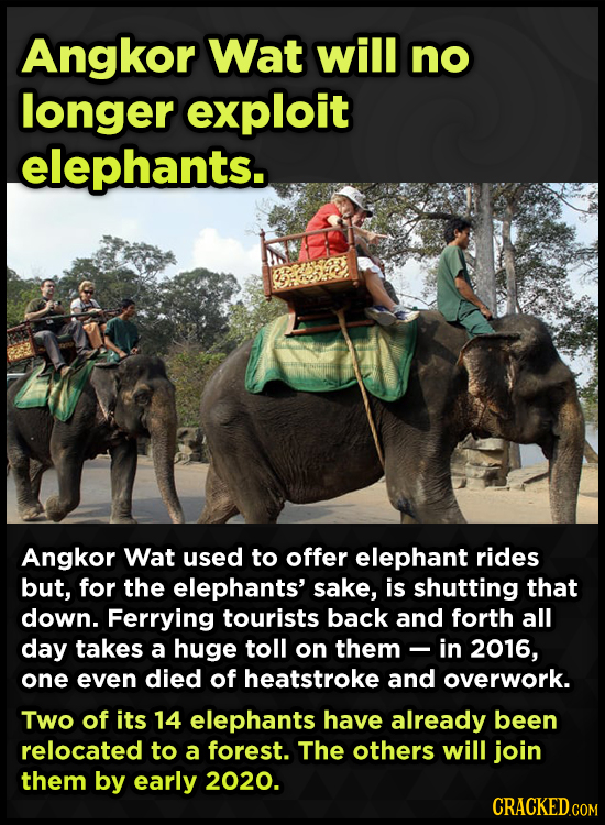 Angkor Wat will no longer exploit elephants. Angkor Wat used to offer elephant rides but, for the elephants' sake, is shutting that down. Ferrying tou
