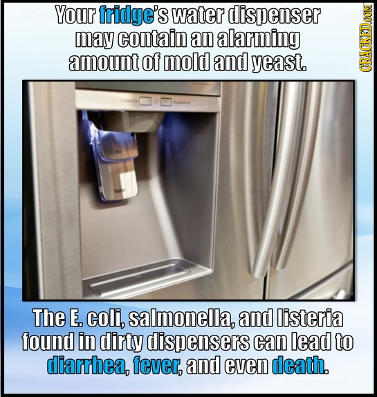 Your fridge's water dispenser may contain an alarming amount of mold and yeast. CRAGA The E. coli, salmonella, and listeria found in dirty dispensers 