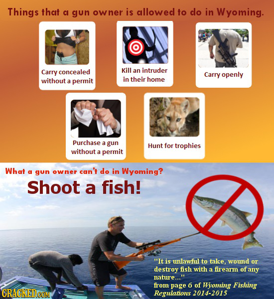Things that gun owner is allowed to do in Wyoming. Carry concealed Kill an intruder Carry openly without a permit in their home Purchase a gun Hunt fo