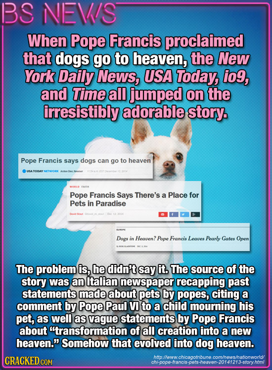 BS NEV/S When Pope Francis proclaimed that dogs go to heaven, the New York Daily News, USA Today, io9, and Time all jumped on the irresistibly adorabl