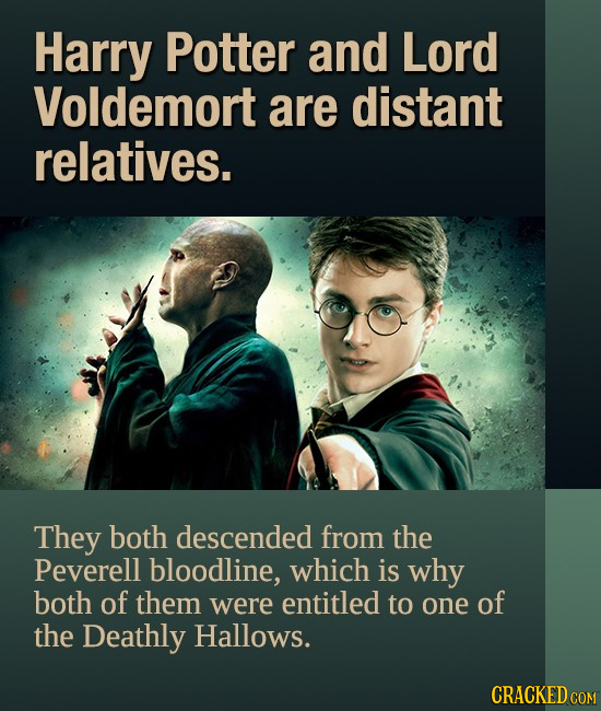 Harry Potter and Lord Voldemort are distant relatives. They both descended from the Peverell bloodline, which is why both of them were entitled to one