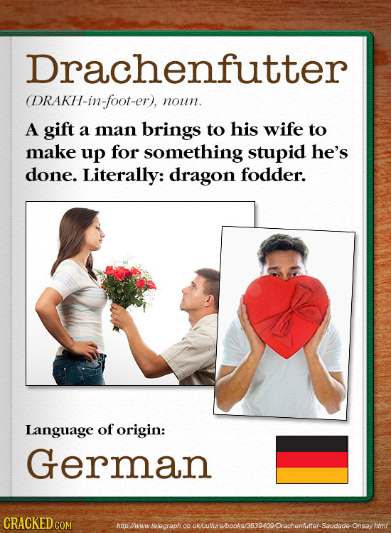 Drachenfutter (DRAKH-in-foot-er), noun. A gift a man brings to his wife to make up for something stupid he's done. Literally: dragon fodder. Language