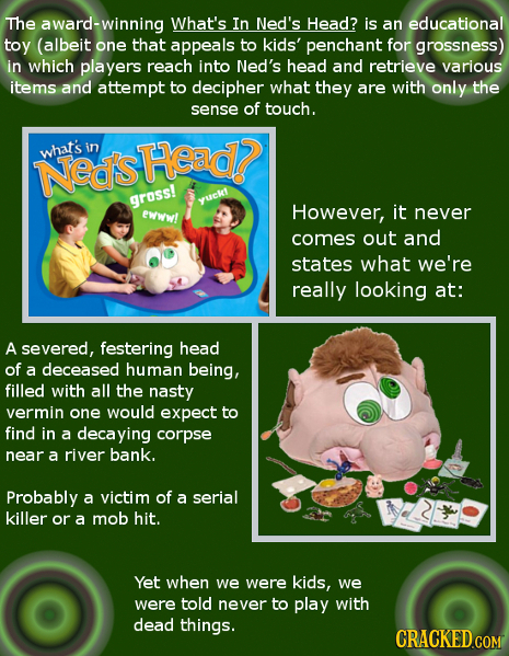 The award-winning What's In Ned's Head? is an educational toy (albeit one that appeals to kids' penchant for grossness) in which players reach into Ne