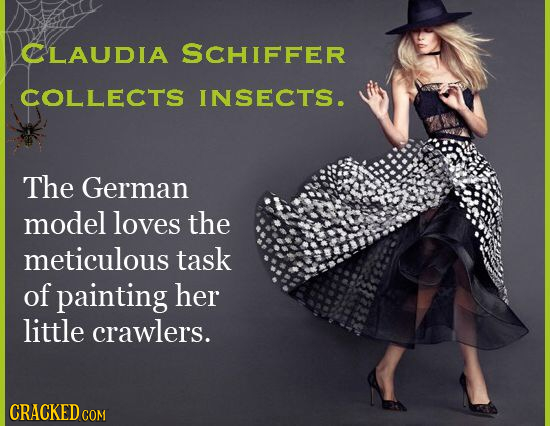 CLAUDIA SCHIFFER COLLECTS INSECTS. The German model loves the meticulous task of painting her little crawlers. CRACKED COM
