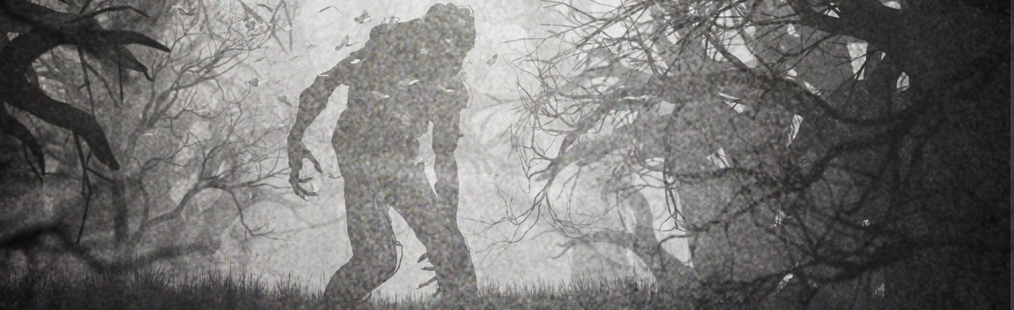 15 Lesser-Known Cryptids You Should Be Warned About