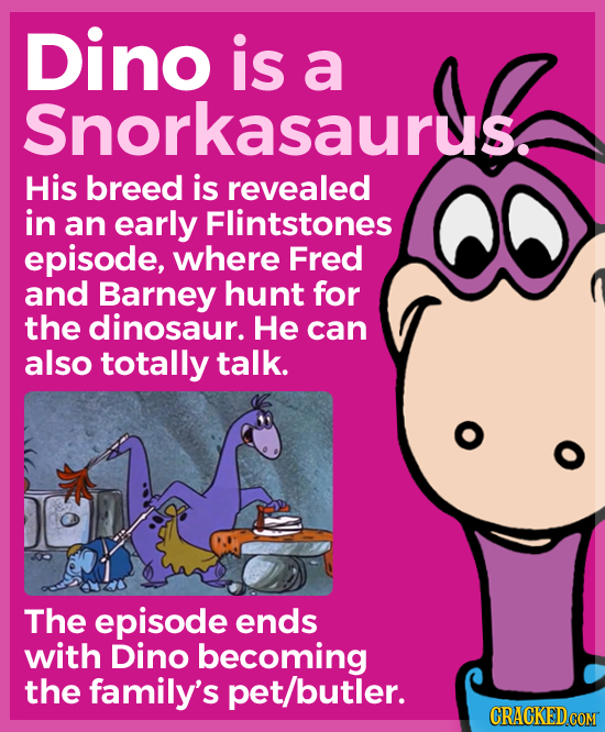 Dino is a Snorkasaurus. His breed is revealed in an early Flintstones episode, where Fred and Barney hunt for the dinosaur. He can also totally talk.