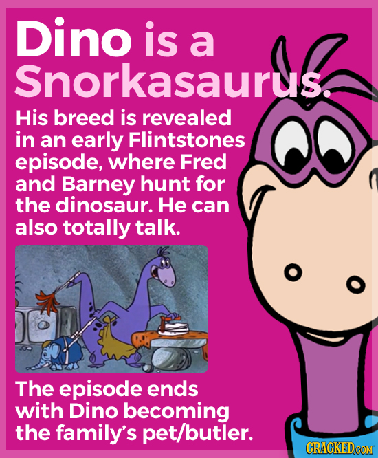 Dino is a Snorkasaurus. His breed is revealed in an early Flintstones episode, where Fred and Barney hunt for the dinosaur. He can also totally talk. 
