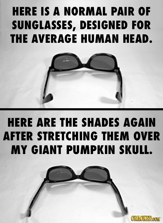 HERE IS A NORMAL PAIR OF SUNGLASSES, DESIGNED FOR THE AVERAGE HUMAN HEAD. HERE ARE THE SHADES AGAIN AFTER STRETCHING THEM OVER MY GIANT PUMPKIN SKULL.