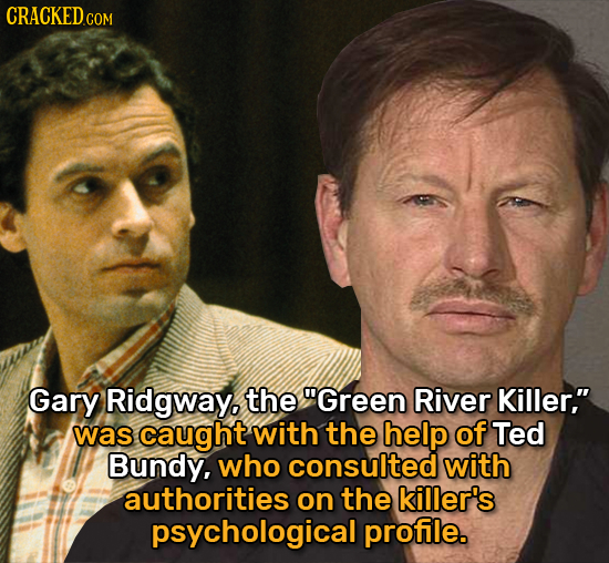 CRACKEDc COM Gary Ridgway. the Green River Killer, was caught with the help of Ted Bundy, who consulted with authorities on the killer's psychologic