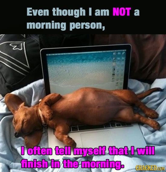 Even though I am NOT a morning person, Sa5 0 often tell myself that I will finish in the morning. CRACKED COM