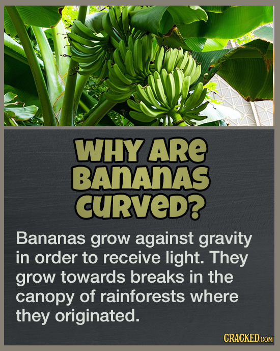 19 Answers To Questions You Never Thought To Ask