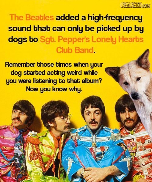 CRACKEDCO The Beatles added a high-frequency sound that can only be picked up by dogs to Sgt. Pepper's Lonely Hearts Club Band. Remember those times w