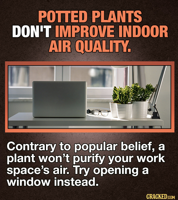 13 Facts About Working From Home