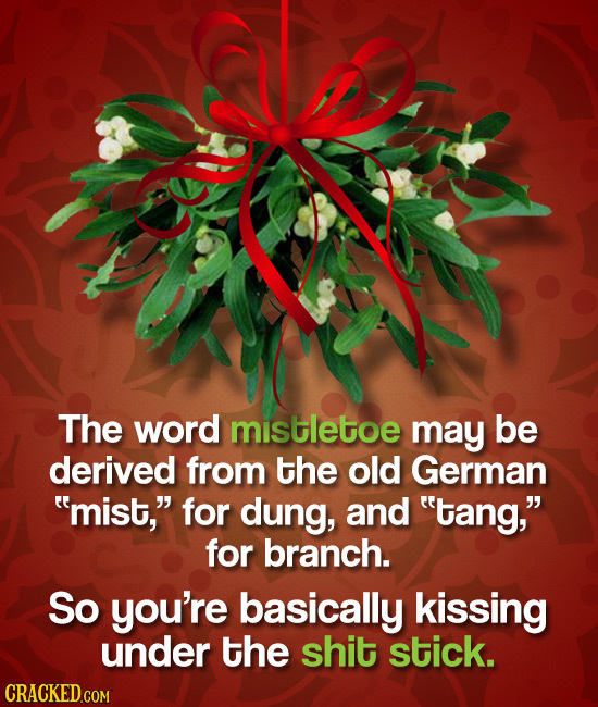 The word mistletoe may be derived from the old German mist, for dung, and tang, for branch. So you're basically kissing under the shit stick. 
