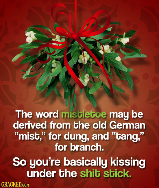 The word mistletoe may be derived from the old German mist, for dung, and tang, for branch. So you're basically kissing under the shit stick.