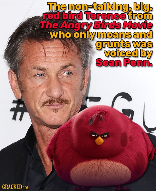 The non=talking, big. red bird Terence from The Angry Birds Movie who only moans and grunts was voiced by Sean Penn. CRACKEDcO COM