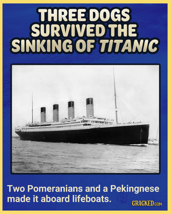 THREE DOGS SURVIVED THE SINKING OF TITANIC Two Pomeranians and a Pekingnese made it aboard lifeboats. CRACKED CON