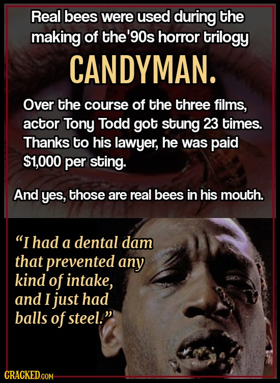 Real bees were used during the making of the'90s horror trilogy CANDYMAN. Over the course of the three films, actor Tony Todd got stung 23 times. Than