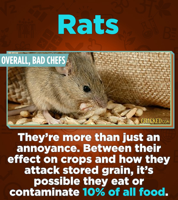 Statistics That Change How You See the World - They’re more than just an annoyance. Between their effect of crops and how they attack stored grain, it