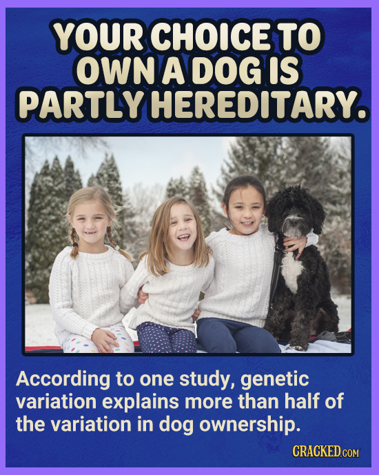 YOUR CHOICE TO OWN A DOG IS PARTLY HEREDITARY. According to one study, genetic variation explains more than half of the variation in dog ownership. CR
