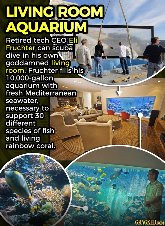 LIVING ROOM AQUARIUM Retired tech CEO Eli Fruchter can scuba dive in his own goddamned living room. Fruchter fills his 10,000-gallon aquarium with fre