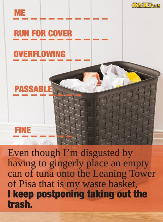 CRACKEDON ME RUN FOR COVER OVERFLOWING PASSABLE FINE Even though I'm disgusted by having to gingerly place an empty can of tuna onto the Leaning Tower