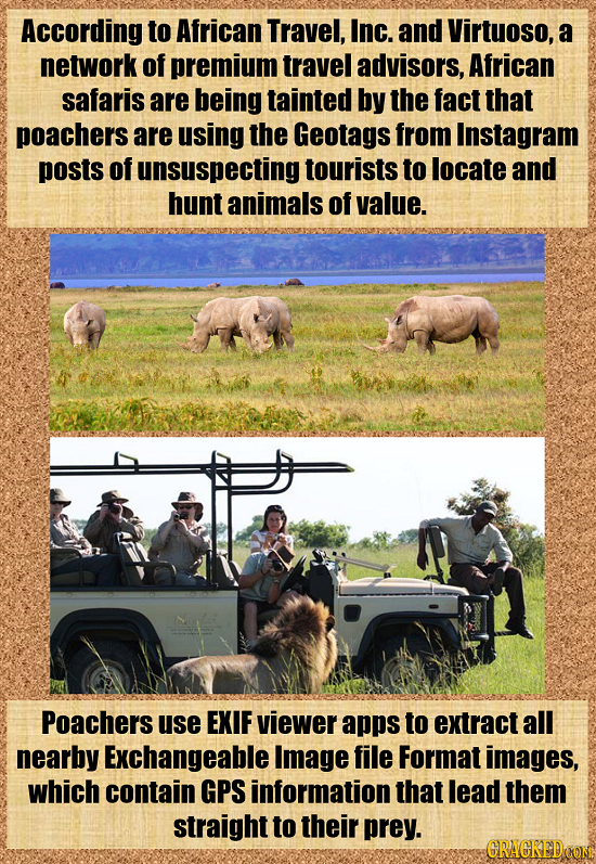 According to African Travel, Inc. and Virtuoso, a network of premium travel advisors, African safaris are being tainted by the fact that poachers are 