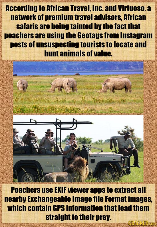 According to African Travel, Inc. and Virtuoso, a network of premium travel advisors, African safaris are being tainted by the fact that poachers are