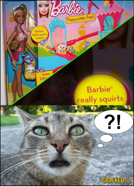 Barlfie Water Park! Puppy Barbie' really squirts water! over 1-ft Barbie really squirts ?! CRACKED COM